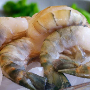 Freshwater Shrimp For Sale