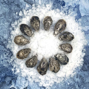 Oysters for Sale Online