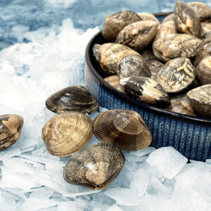 Clams for Sale