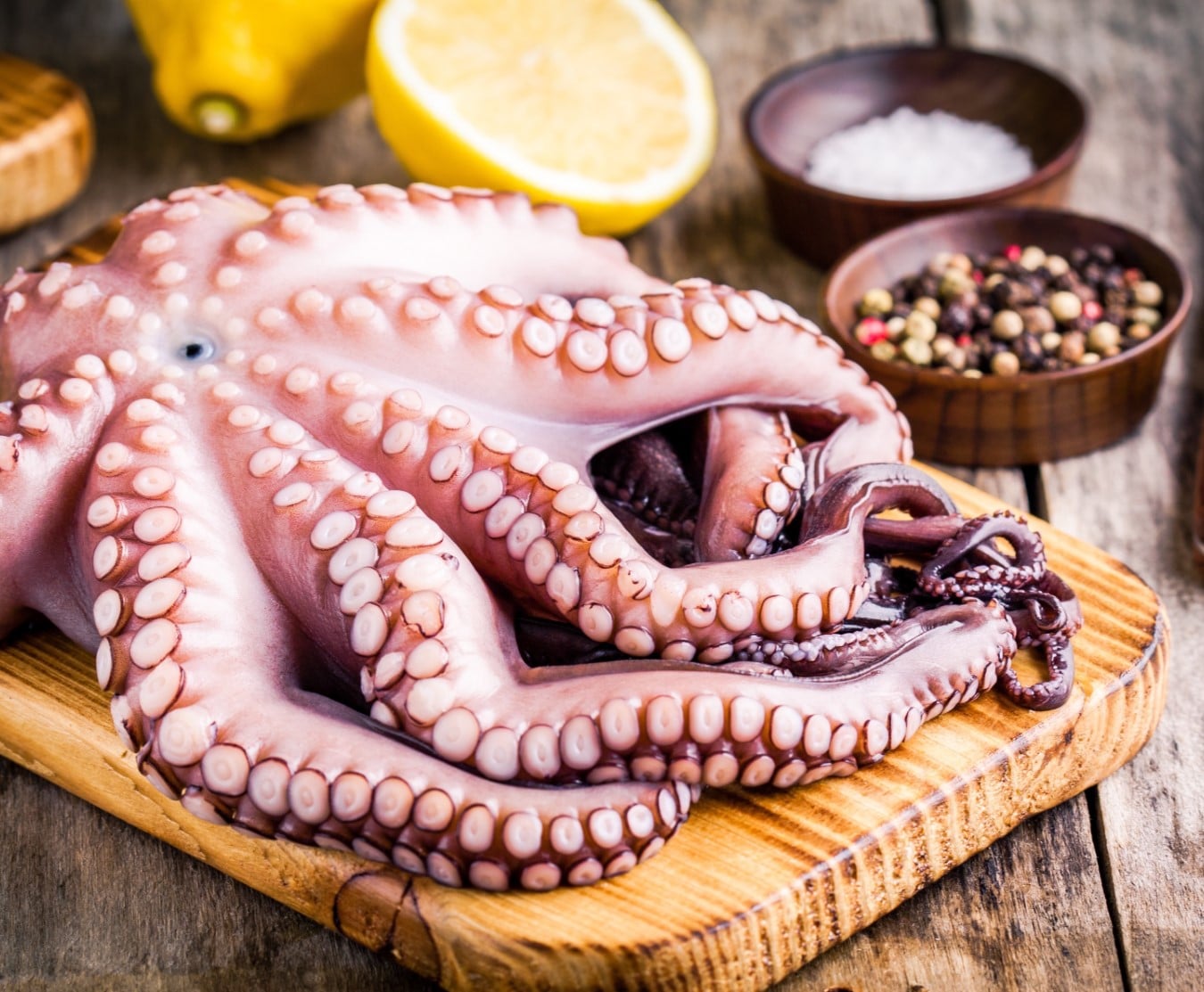 Buy Fresh Octopus