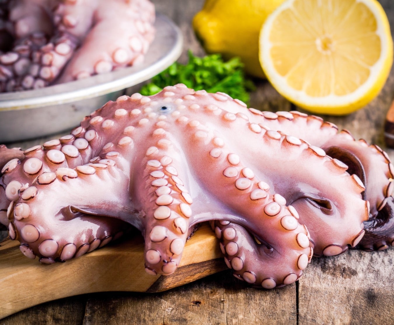 Buy Fresh Octopus Online