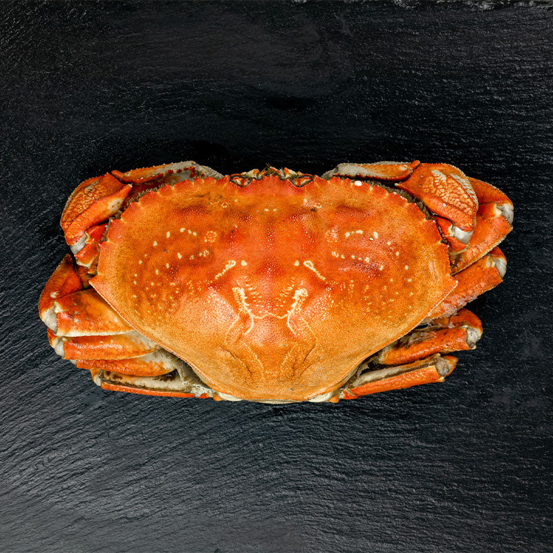 Buy Dungeness Crab Online